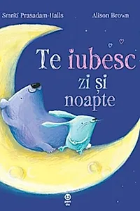 Te iubesc zi și noapte