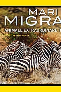 Mari migrații