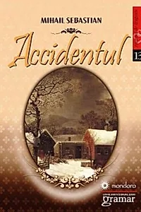 Accidentul