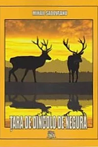 Țara de dincolo de negură