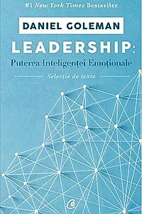 Leadership: Puterea inteligentei emotionale