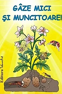 Gâze mici și muncitoare
