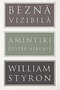Beznă vizibilă