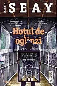 Hoțul de oglinzi