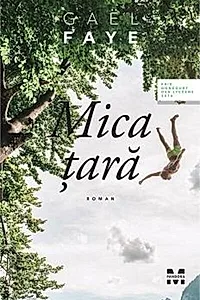 Mica țară