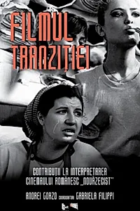 Filmul tranziției. Contribuții la interpretarea cinemaului românesc „nouăzecist”