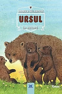 Ursul