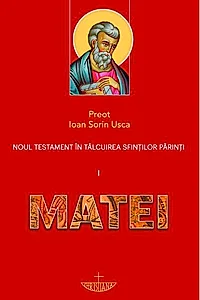 Noul Testament în tâlcuirea sfinților părinți: Matei (Vol. 1)