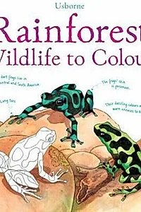 Rainforest Wildlife to Colour