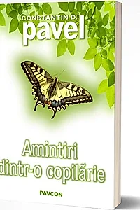 Amintiri dintr-o copilărie
