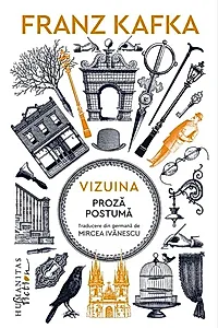 Vizuina
