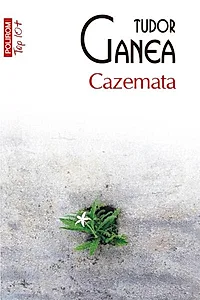 Cazemata (Top 10+)