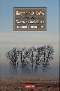 Noaptea când cineva a murit pentru tine