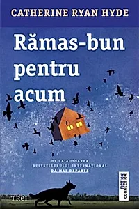 Rămas-bun pentru acum