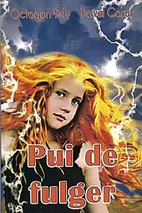 Pui de fulger