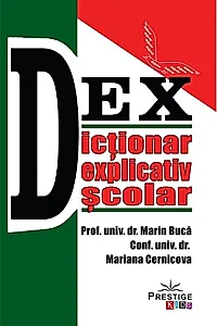 Dicționar explicativ școlar
