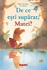 De ce ești supărat, Matei?