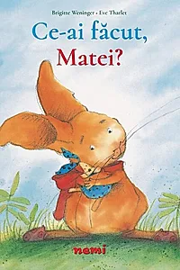 Ce ai făcut, Matei?