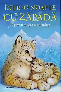 Într-o noapte cu zăpadă