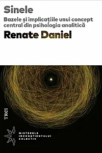 Sinele. Bazele și implicațiile unui concept central din psihologia analitică