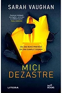 Mici dezastre