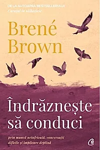 Îndrăznește să conduci