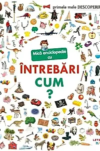 Mică enciclopedie cu întrebări. Cum?