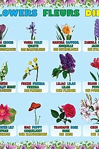 Planșă - Flori