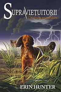 Un drum primejdios. Supraviețuitorii (Vol. 4)
