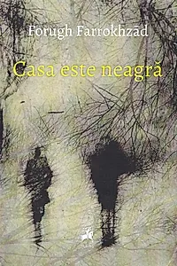 Casa este neagră