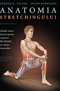 Anatomia stretchingului