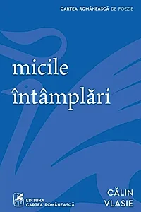 Micile întâmplări