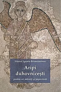Aripi duhovnicești pentru cei osteniţi şi împovăraţi