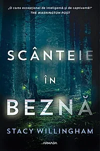Scânteie în beznă