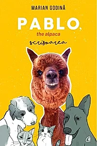 Pablo, the alpaca. Scrisoarea