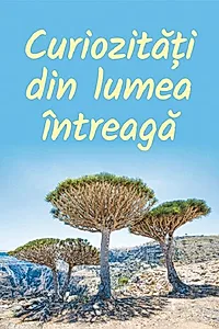Curiozități din lumea întreagă