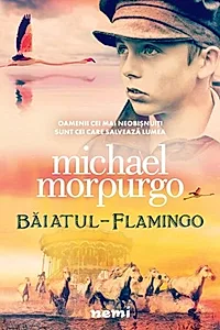 Băiatul flamingo