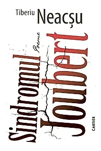 Sindromul Joubert