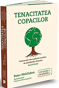 Tenacitatea copacilor