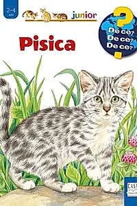 Pisica