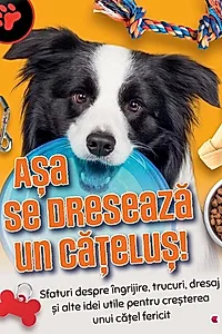 Așa se dresează un cățeluș!