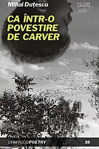 Ca într-o povestire de Carver