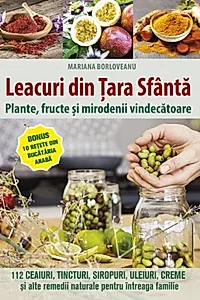 Leacuri din Țara Sfântă