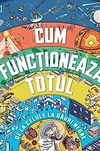 Cum funcționează totul