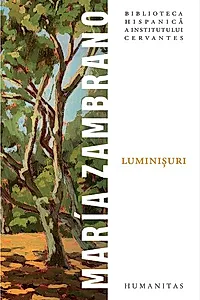 Luminișuri