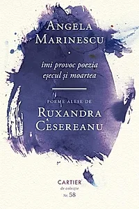 Îmi provoc poezia eșecul și moartea