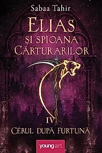 Cerul după furtună (Vol. 4)