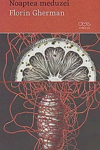 Noaptea meduzei