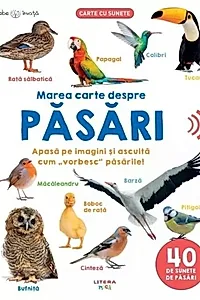 Bebe învață. Marea carte despre păsări