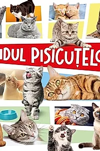 Ghidul pisicuțelor